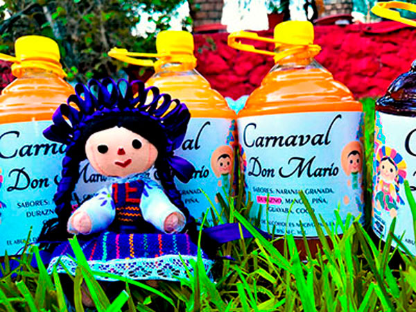 Carnaval Don Mario, Tecozautla, Hidalgo